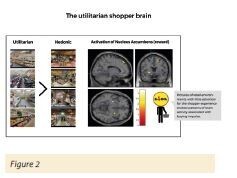 Better Understand the Success of Discounters